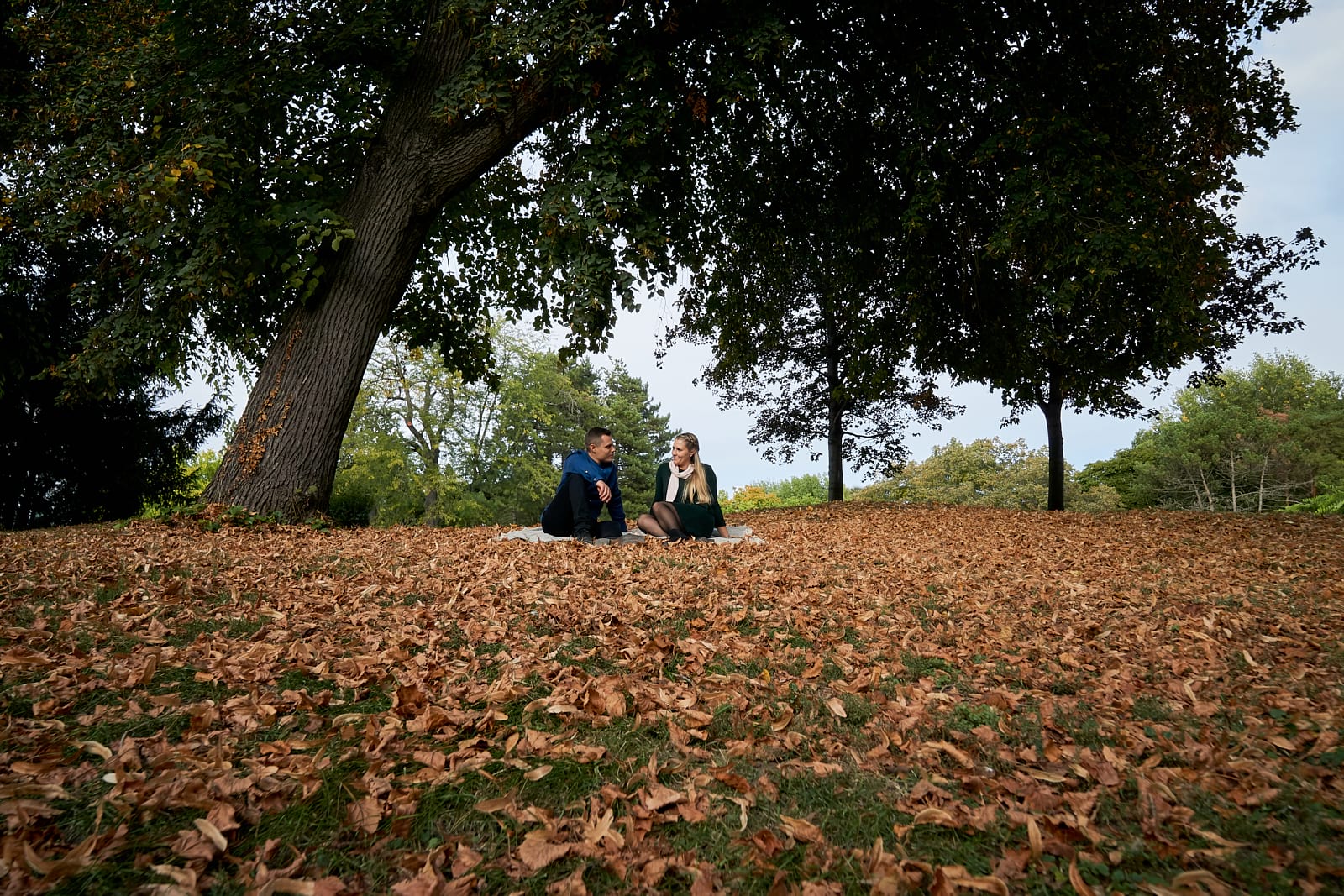 Őszi páros fotózás lehullott sárga levelek ölelésében